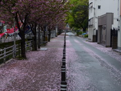 わー、除雪しなきゃ