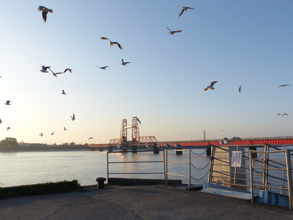 カモメが飛んだ