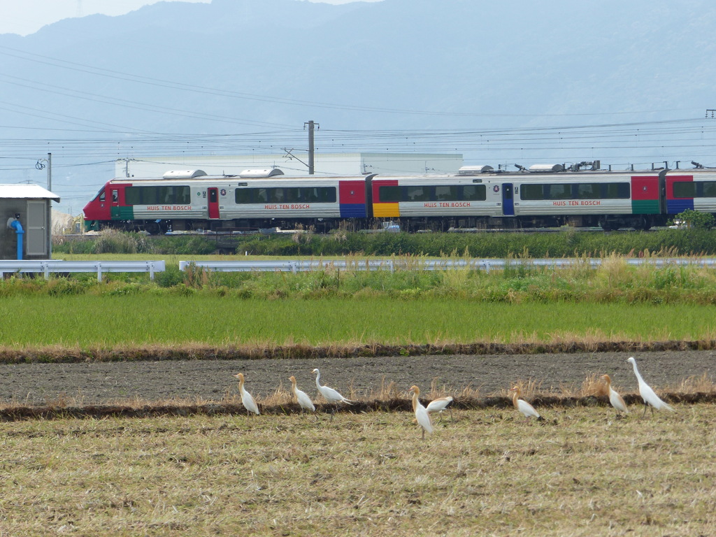 ハウステンボス行きたいな