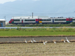 ハウステンボス行きたいな