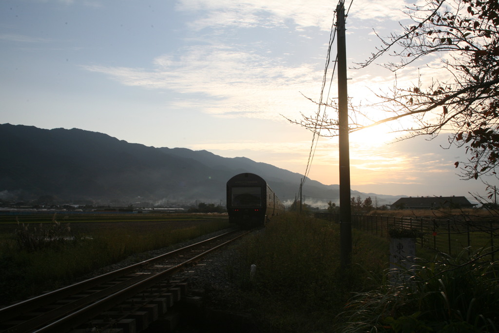 おかえりなさい