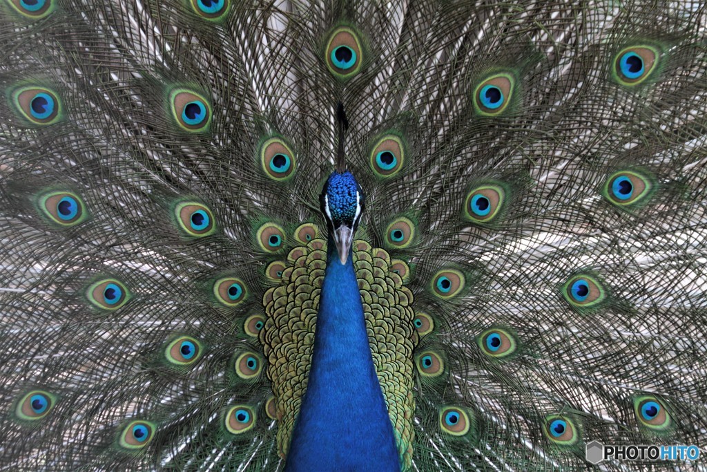 おはようございます