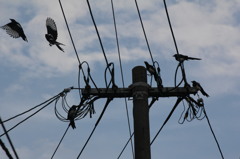 かっこいいでしょ