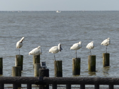 色白に撮ってね