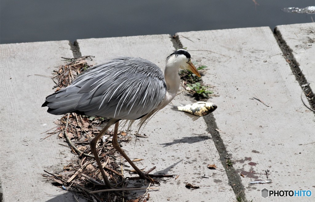 また食べすぎでしょ