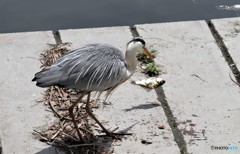 また食べすぎでしょ