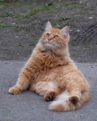 今日の空模様は？