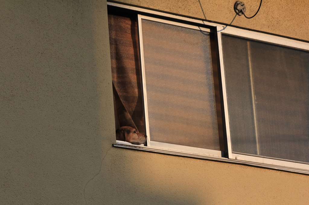 ブルームーンこっち？