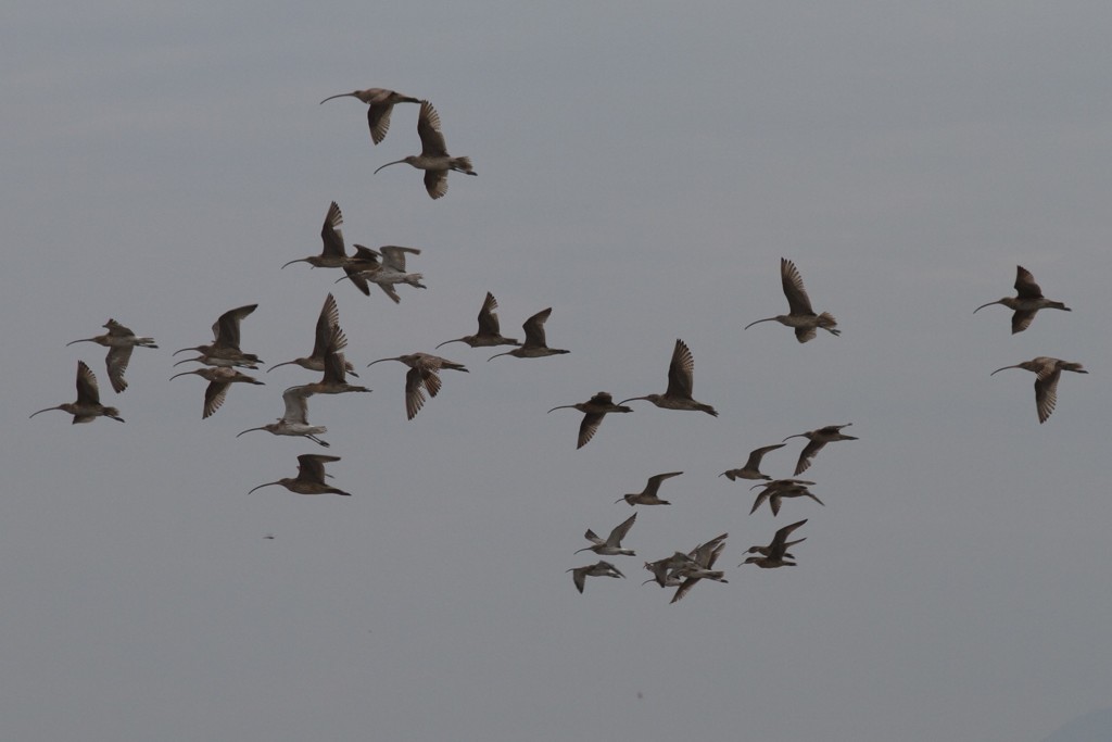 源さん久しぶり