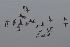 源さん久しぶり