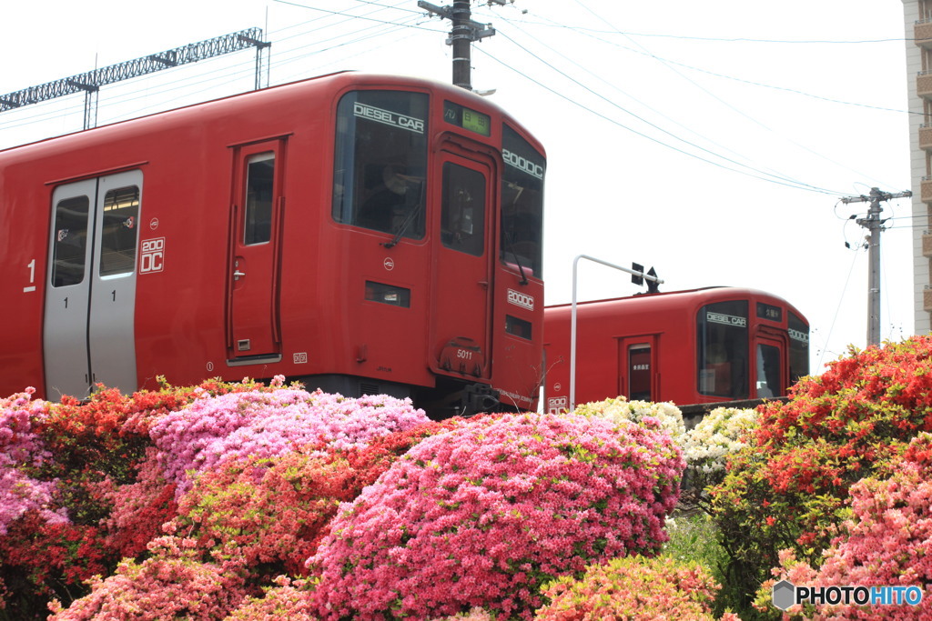 つつじの駅