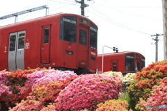 つつじの駅