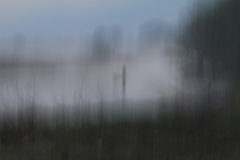 なんじゃこりゃ