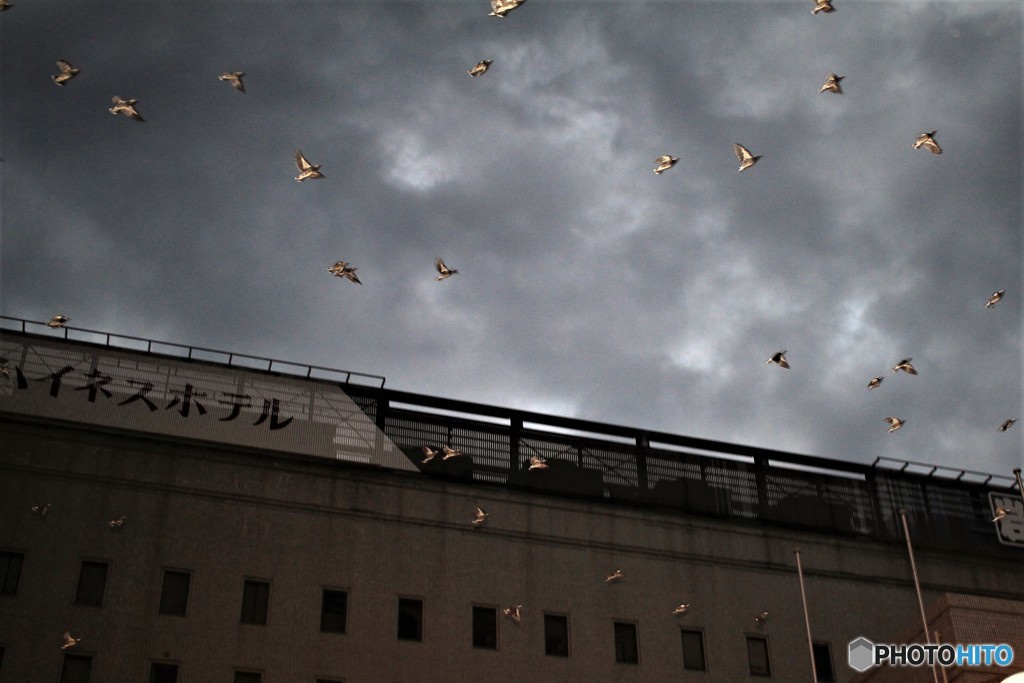 カメラ上部のストロボです