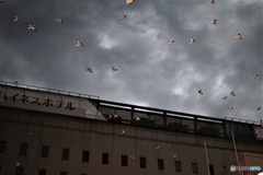 カメラ上部のストロボです