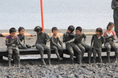 かわいいムツゴロウ