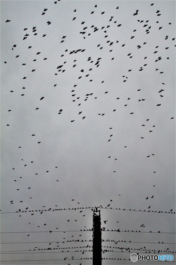 シャッタ速度上げました