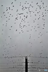 シャッタ速度上げました