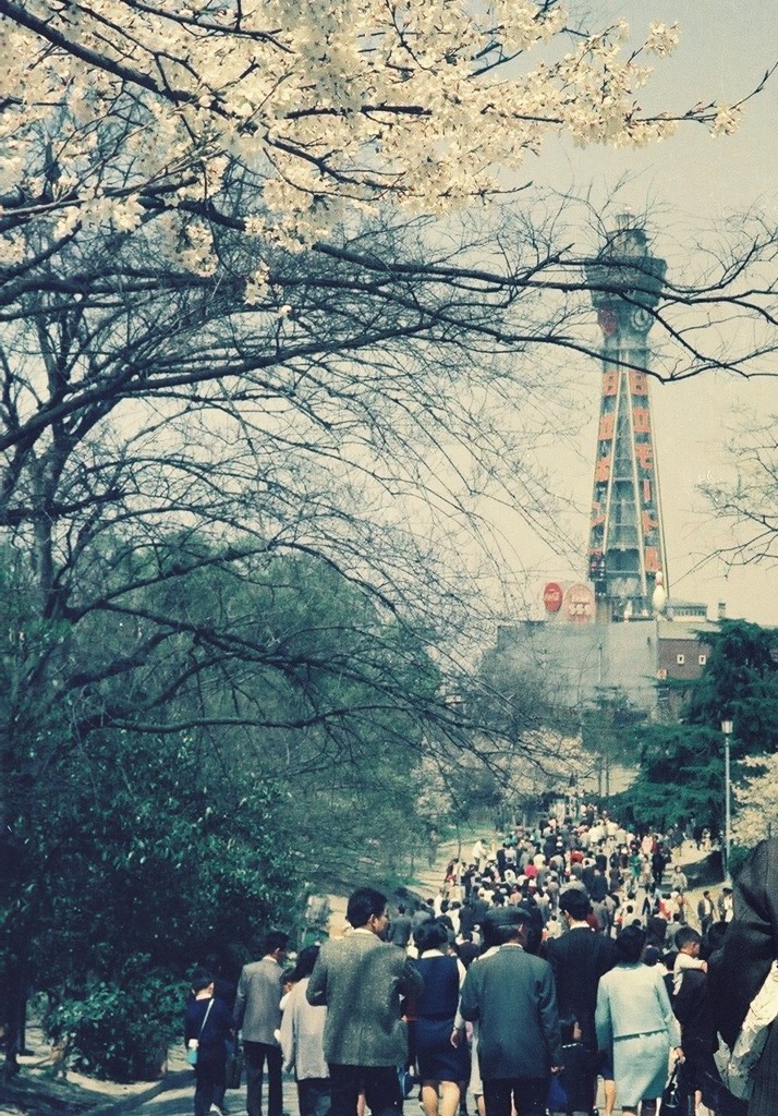 春の天王寺公園
