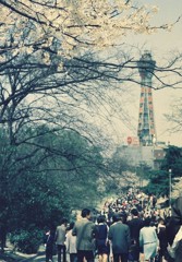 春の天王寺公園