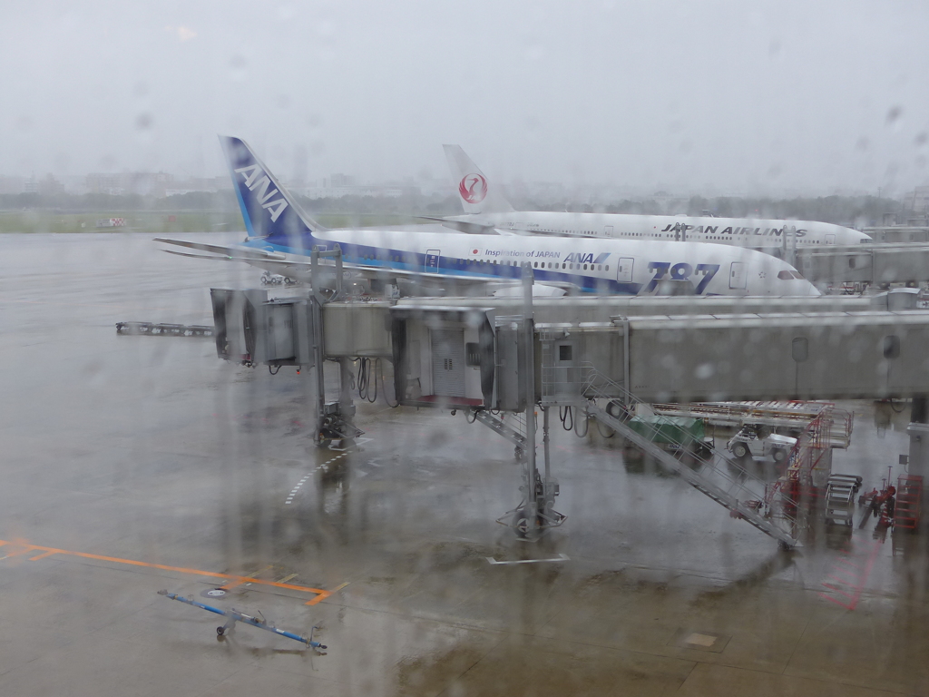 送迎デッキは閉鎖