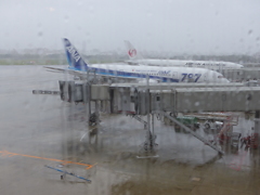 送迎デッキは閉鎖