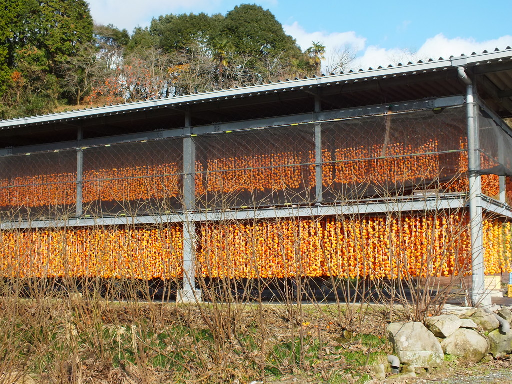 壮観でしょ