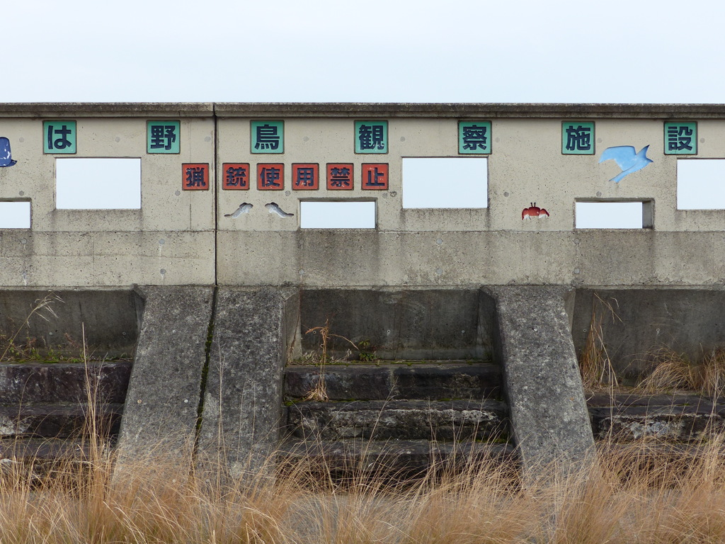 今からはクロツラなど