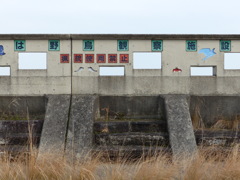 今からはクロツラなど