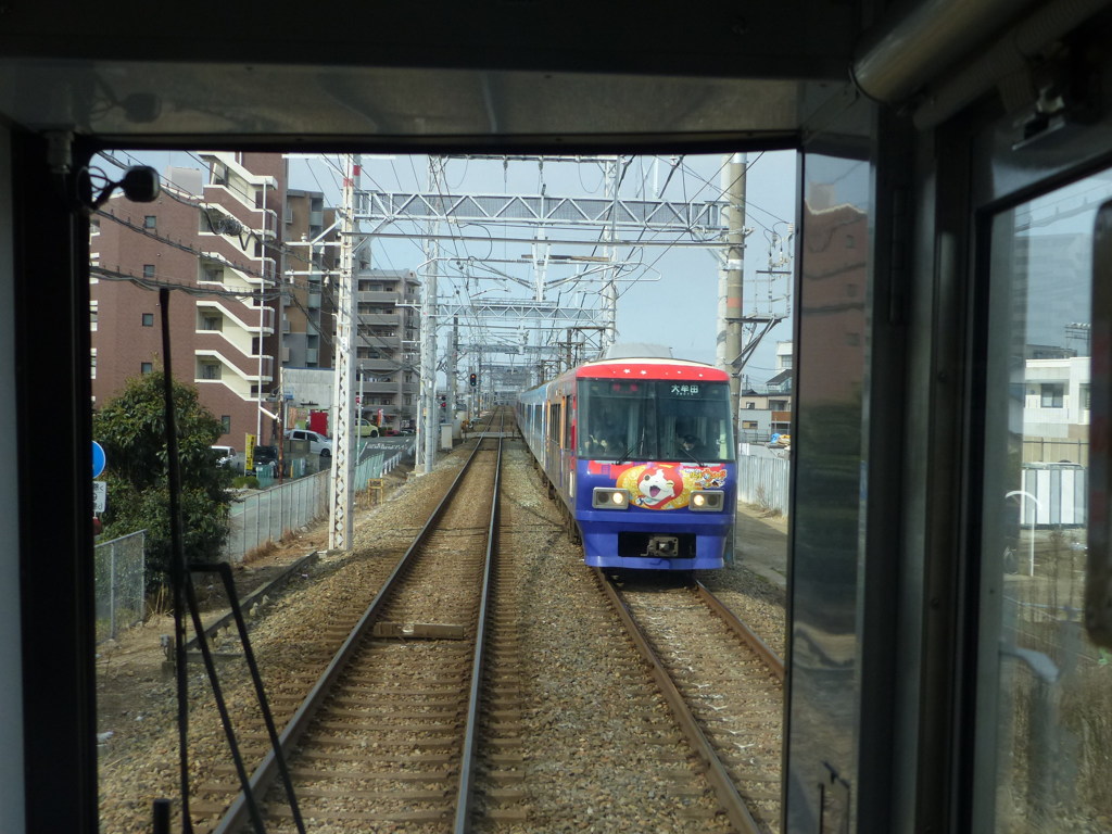 でたー
