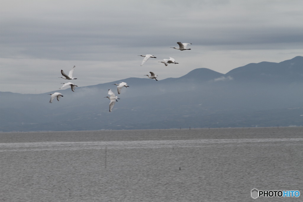今日のクロツラ