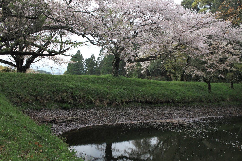 小さい池ですが