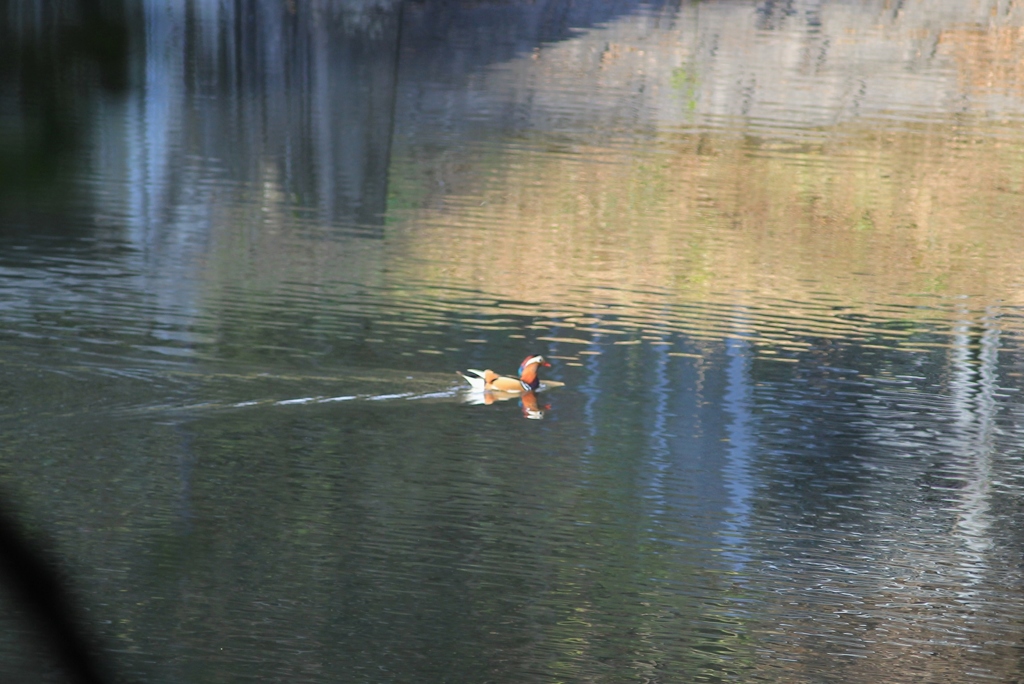 これはむずかしい