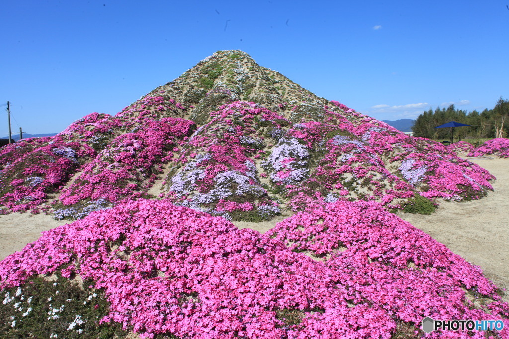 マウント富士