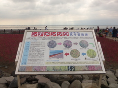 オスプレー墜落