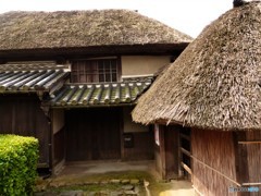 よく管理されてます