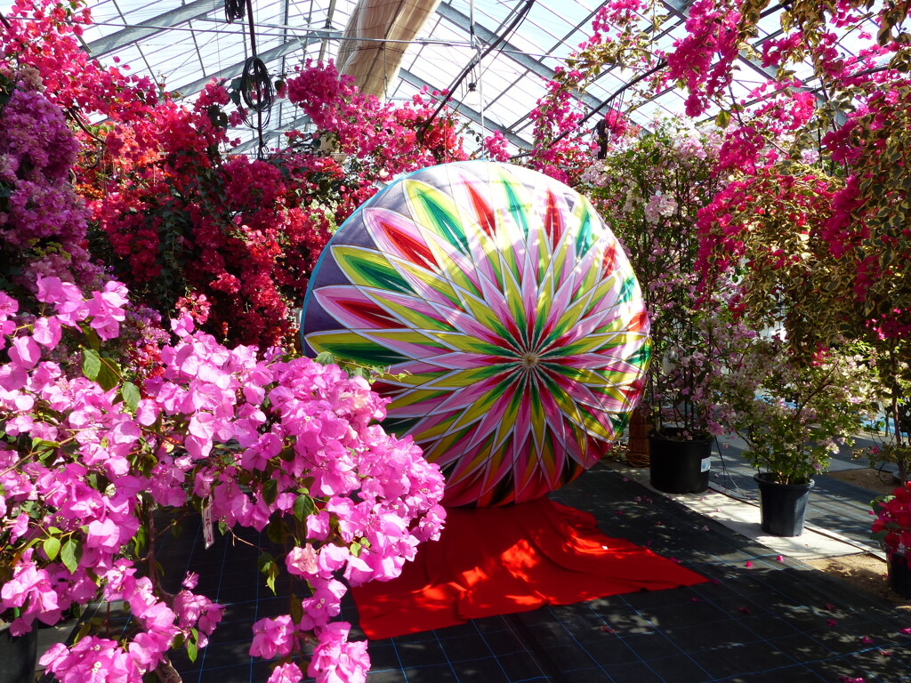 花とまり