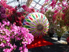 花とまり
