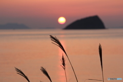 磯釣りの名所です