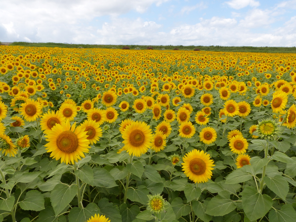 今日はきれいかったです