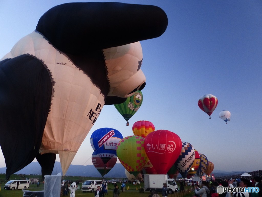 これは大きすぎ