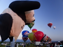 これは大きすぎ