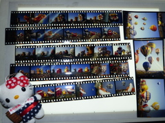 大きいのは６７サイズ