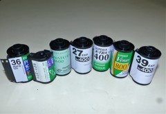 頑張ってきましたが