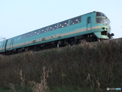 ゆふいん人気ですね