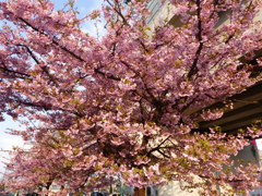 密度がすごいですね