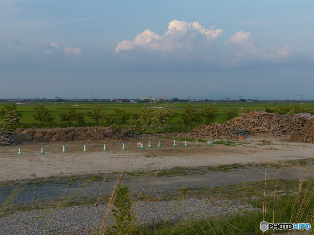豪雨の流木掃除