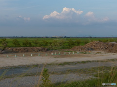 豪雨の流木掃除