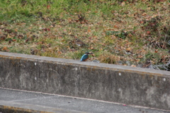 もう少しちかずけますが