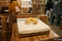 negokoti